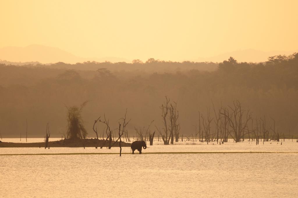 Hotel Evolve Back Kabini Begūr Zewnętrze zdjęcie