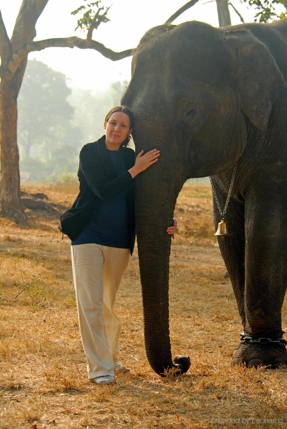 Hotel Evolve Back Kabini Begūr Zewnętrze zdjęcie